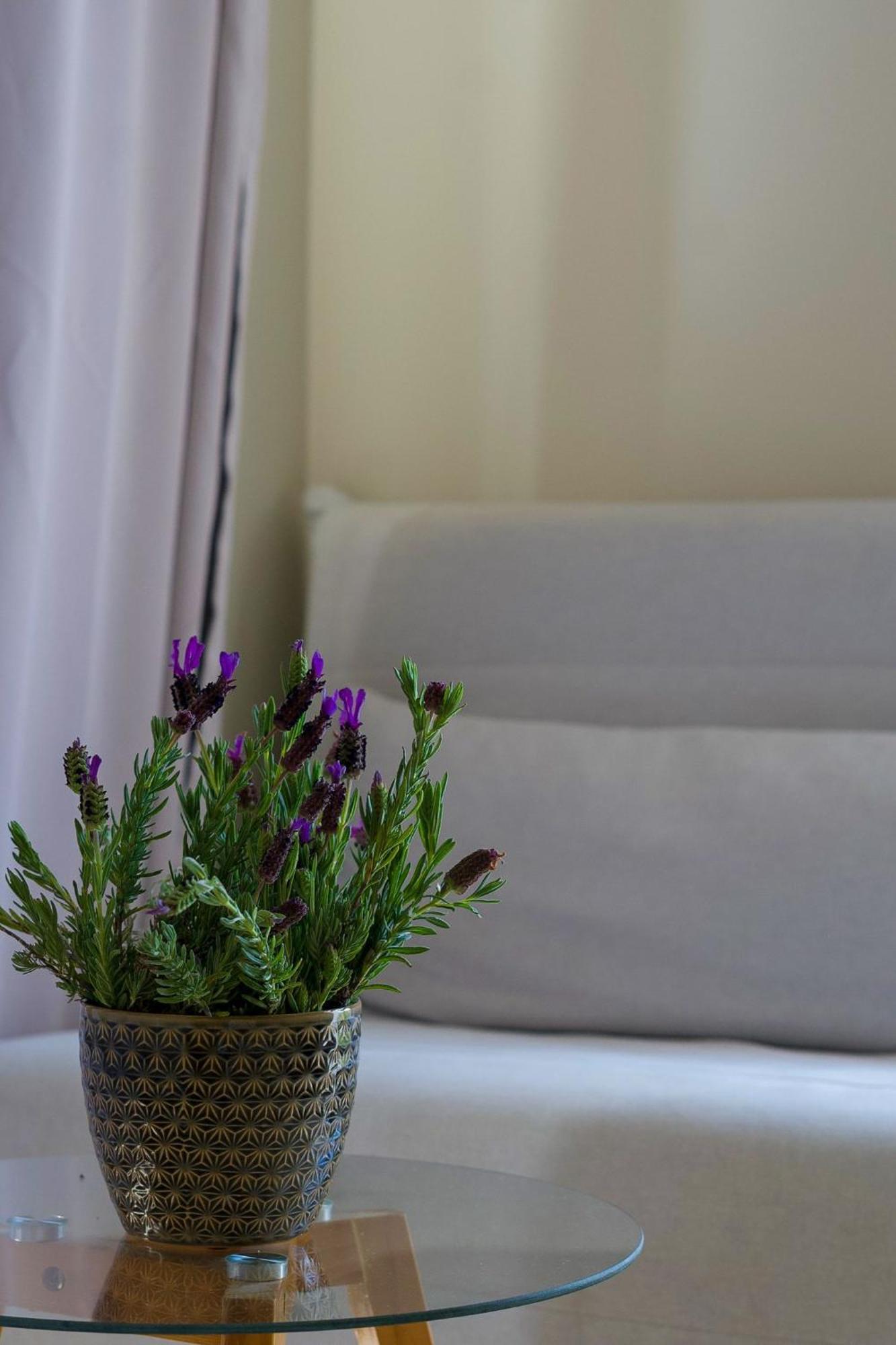 Arrifana Destination Suites Aljezur Esterno foto